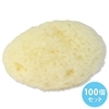天然海綿 約5cm (100個入り)